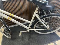 fin damcykel 