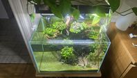 SuperFish Aquascaping Akvarium - Scaper 60 L