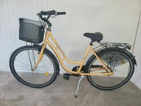 Fin damcykel 