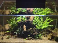Akvarium - Fluval Edge 23L