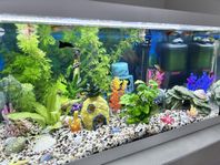 Eheim Aquastar 54l LED