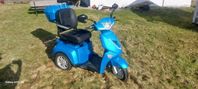 Leijona 1300+ Promenadskoter Nyskick