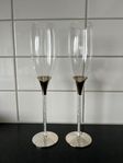 Champagneglas 2st