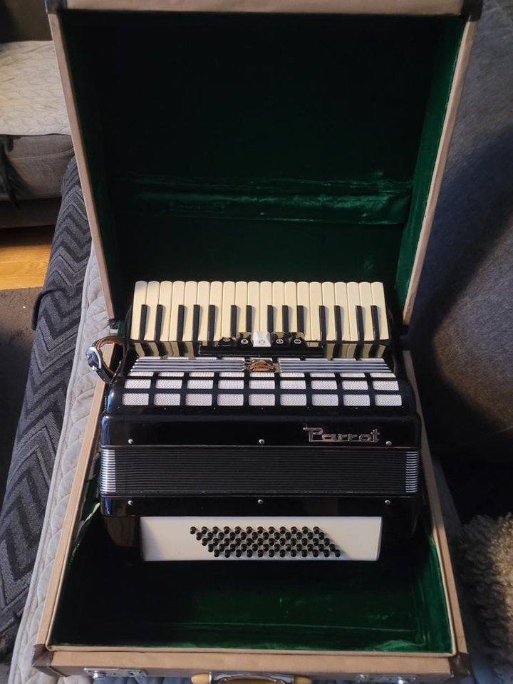 dragspel 6000 kr keyboard 14 ...
