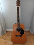 akustisk gitarr marvin