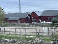 stallplats i upplands väsby 