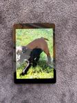 iPad 6:e generation med simkort 32GB – Fungerar perfekt