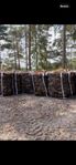 Björkved