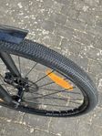 Trek Dual Sport 2