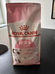 Royal Canin Kitten torrfoder