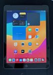 iPad (6:e generationen) – 128 GB, WiFi + SIM, Grå