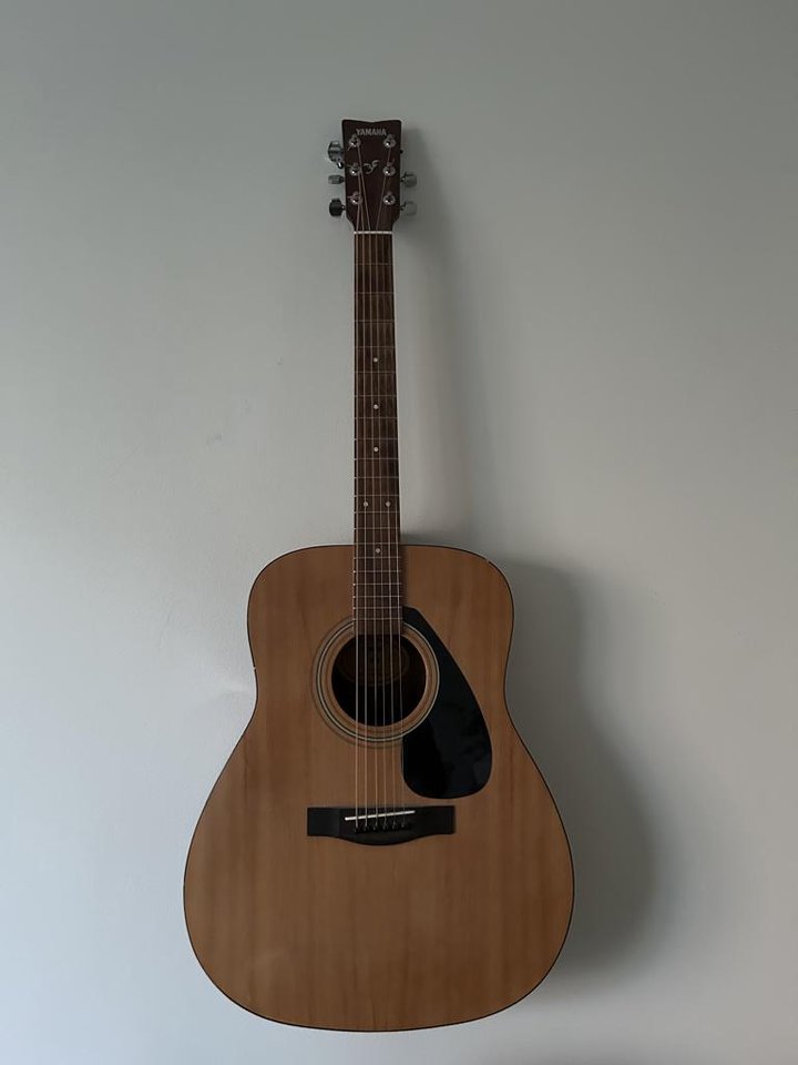 Yamaha F310