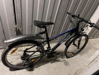 Specialized Hotrock. 