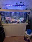 Juwel 350l