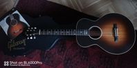 Gibson L1