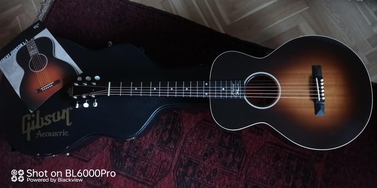 Gibson L1