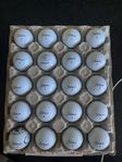 20 st Titleist NXT Tour, A-klass