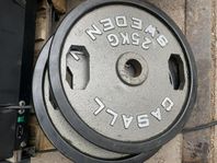 Gymvikter 50mm