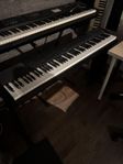 Casio CDP-120 Digital Piano