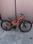 24" mountainbike barn 18vxl