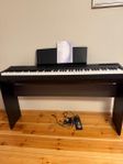 Yamaha p-115  piano 
