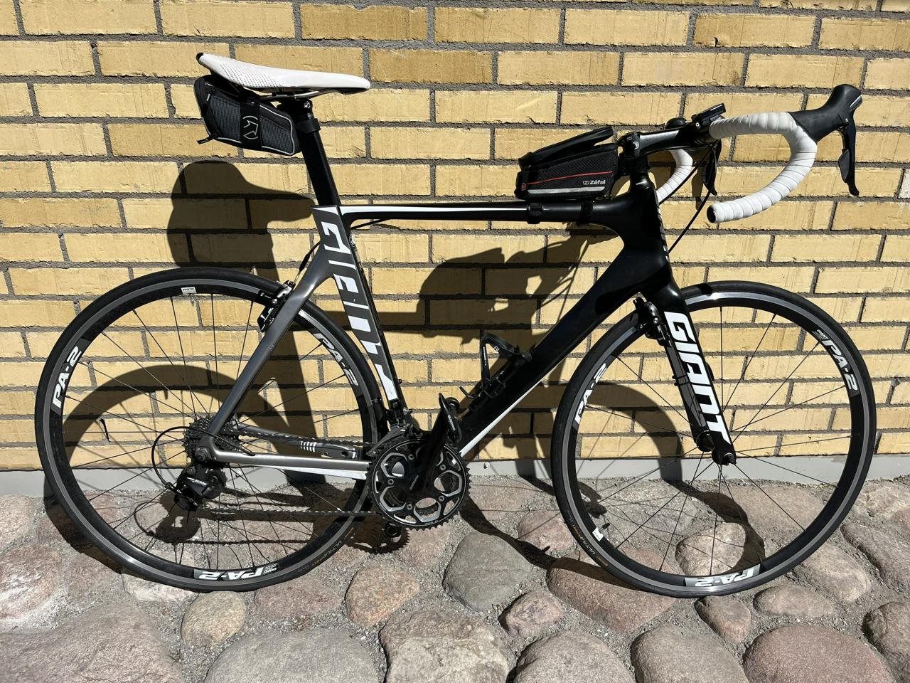 Giant Propel Advanced 2 ML