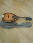 Mandolin