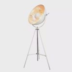 Golvlampa och taklampa
