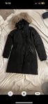 Canada goose Rossclair 