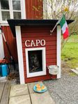 Hundkoja med värme