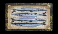 Dekorativa Barracudor i keramik