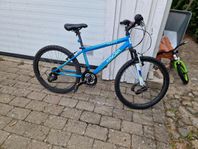 Mountainbike Kayoba Trance 24 tum