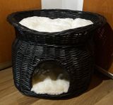 Nästan nytt katthus, kattsäng nypris 998 kr