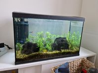 Akvarium 