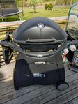 Weber q3000