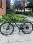 Mountainbike White 290 XC Comp Advent - X