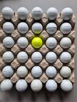 Titleist Pro V1 