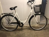 Jätte Fin vit Yosemite cykel