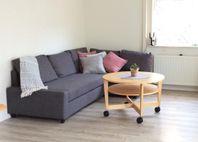 Bäddsoffa, Friheten (IKEA)