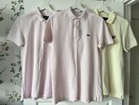 Pikétröjor Lacoste och Lyle&Scott