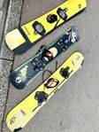 3 st Santa Cruz Snowboards - Family Pack!