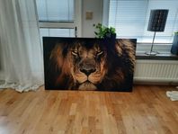 Canvas Tavla 