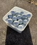 Titleist ProV1 & ProV1x