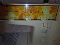 symaskin Singer 354