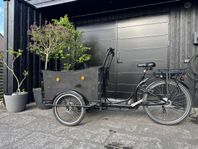 Amlad Deluxe lådcykel el