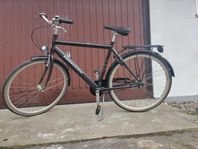 Monark Sigvard city