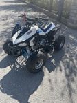ATV 110cc