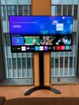 LG OLED 4K 55 inch with standing mount & original low stand