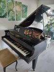 Piano Flygel