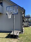 Basketkorg Lifetime